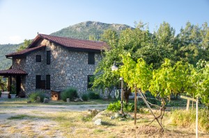 Dikencik Cottages, Fethiye, Turkey