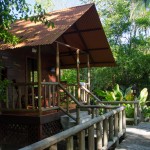 Aninga Lodge, Tortuguero National Park, Costa Rica-4