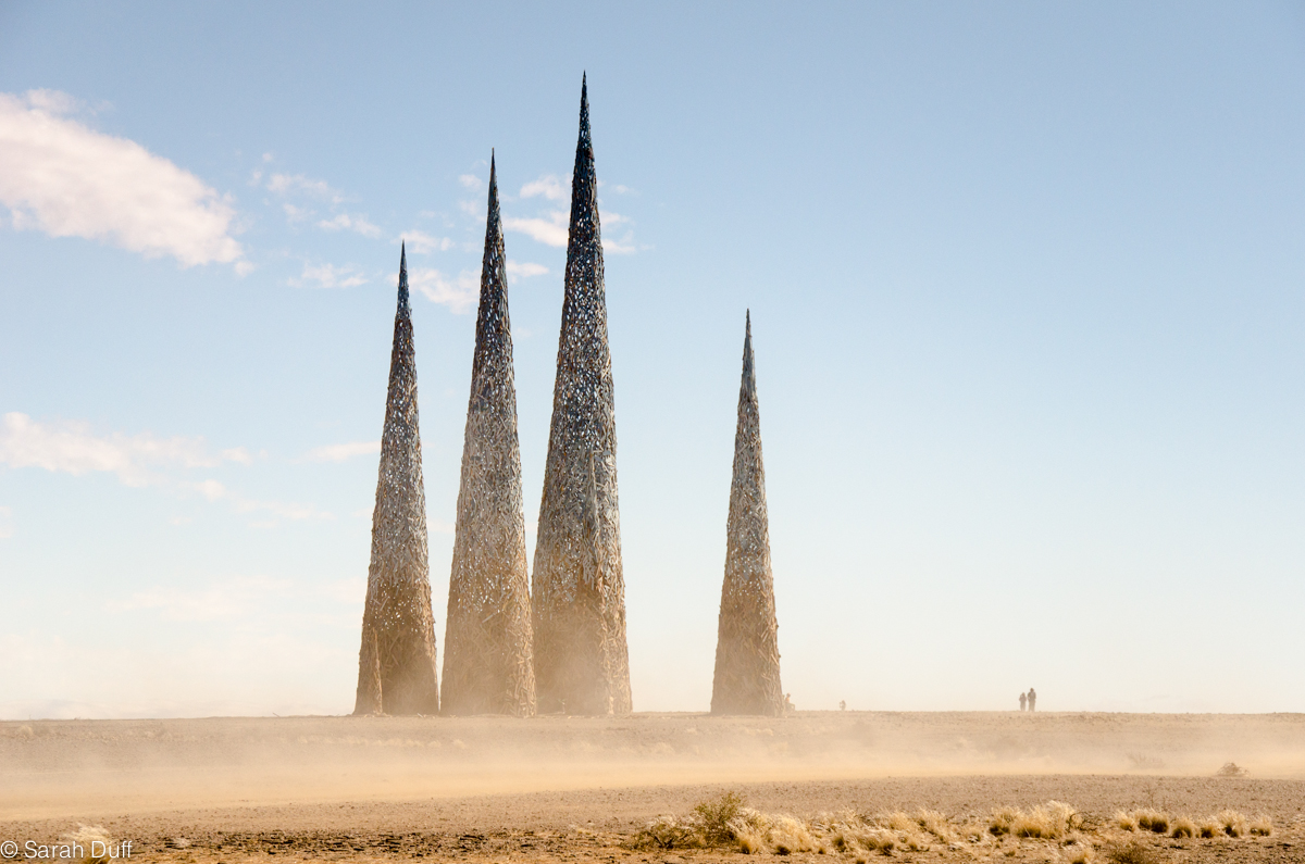 AfrikaBurn 2014 in photos