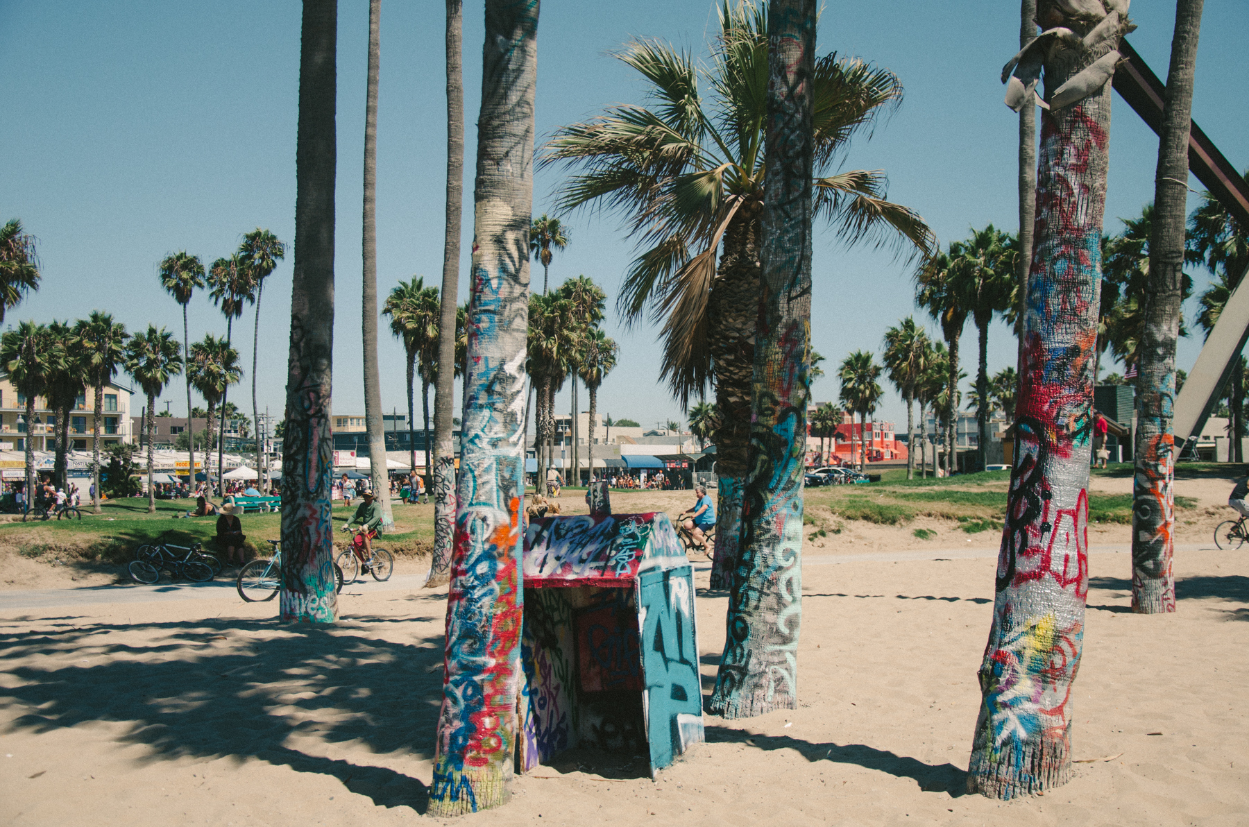 In Los Angeles, even the palm trees are covered in graffiti. 