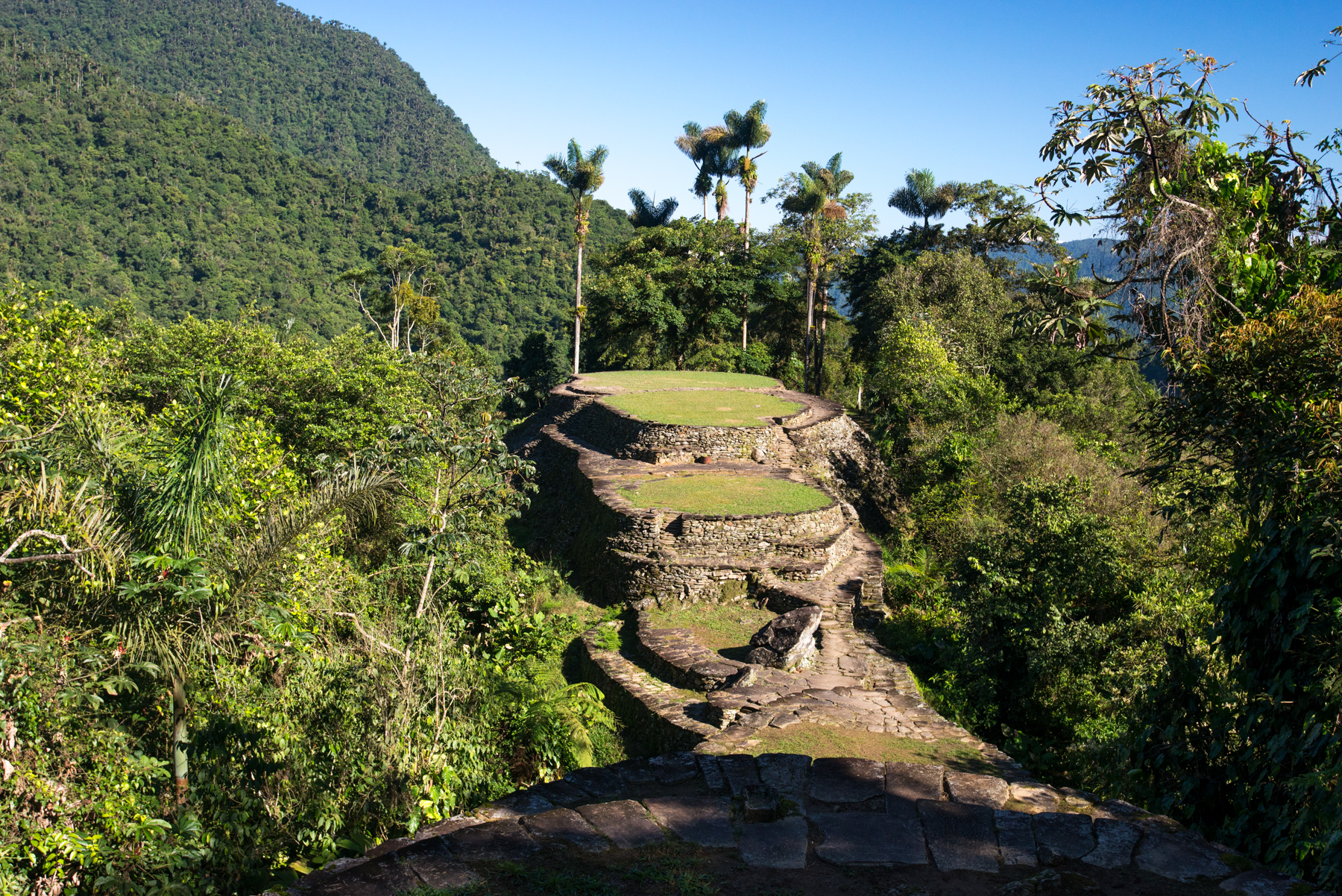 A jungle trek to Colombia’s Lost City
