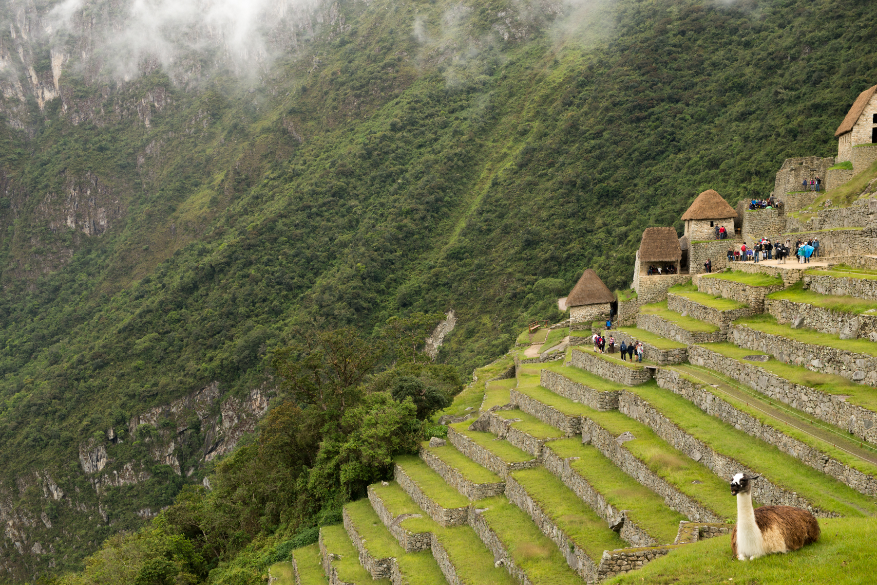 Four months of South America in photos