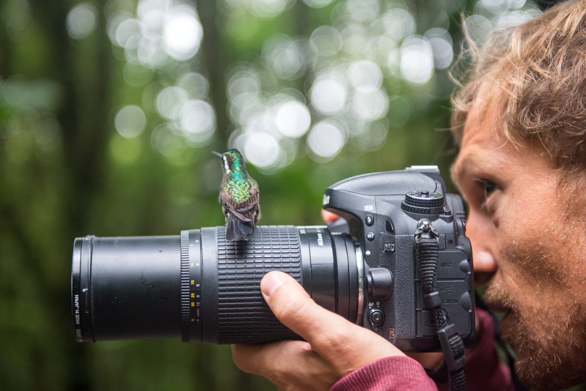 Shooting hummingbirds in Costa Rica