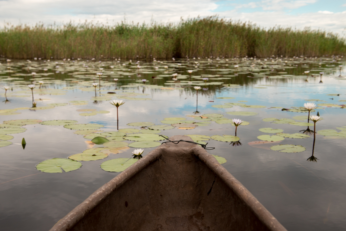 Okavango Delta mokoro ride Botswana