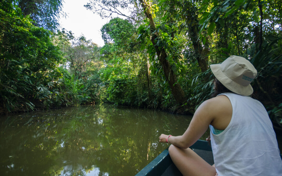 Cruising the canals of Tortuguero National Park
