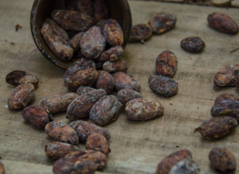 Roasting cacao beans on a chocolate tour