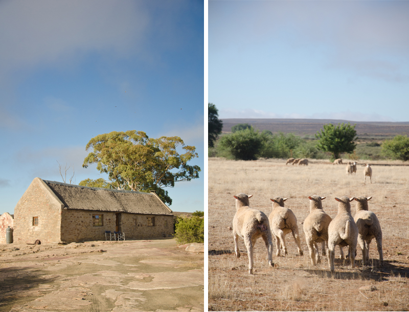 Papkuilsfontein: the perfect guest farm