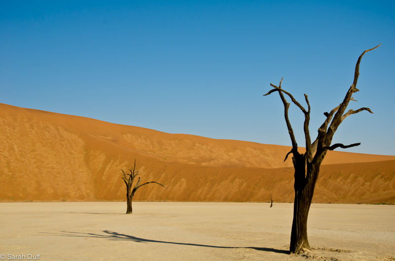 Dreaming of Namibia
