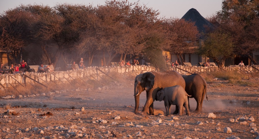 Okakeujo Camp, Onkoshi Camp, Etosha National Park, Namibia