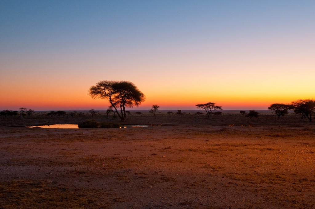 Sunset, Etosha National Park, Namibia