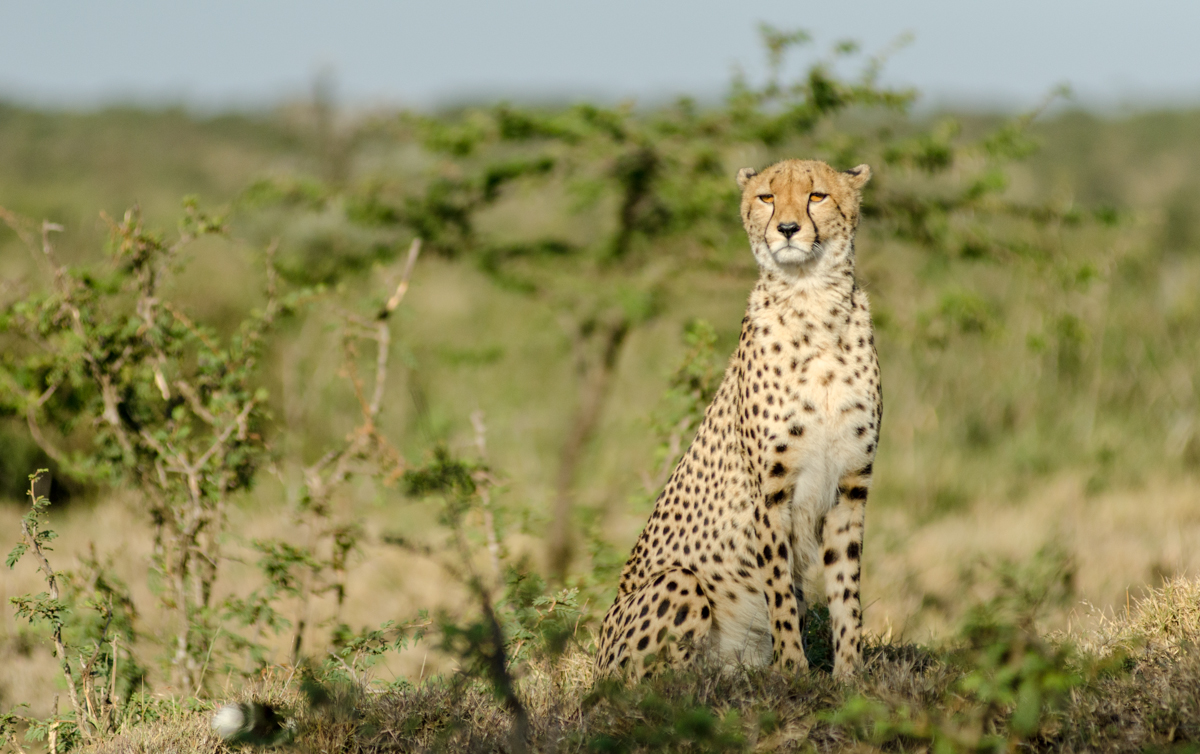 10 things I loved about Kenya