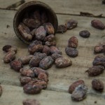Roasting cacao beans on a chocolate tour, Costa Rica