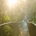 Suspension bridge in Costa Rica
