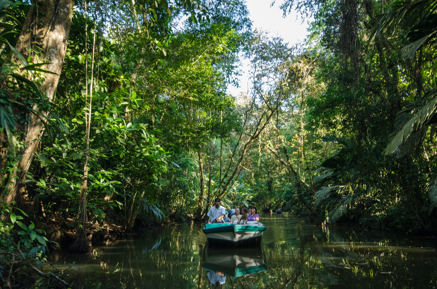 tortuguero canals tour