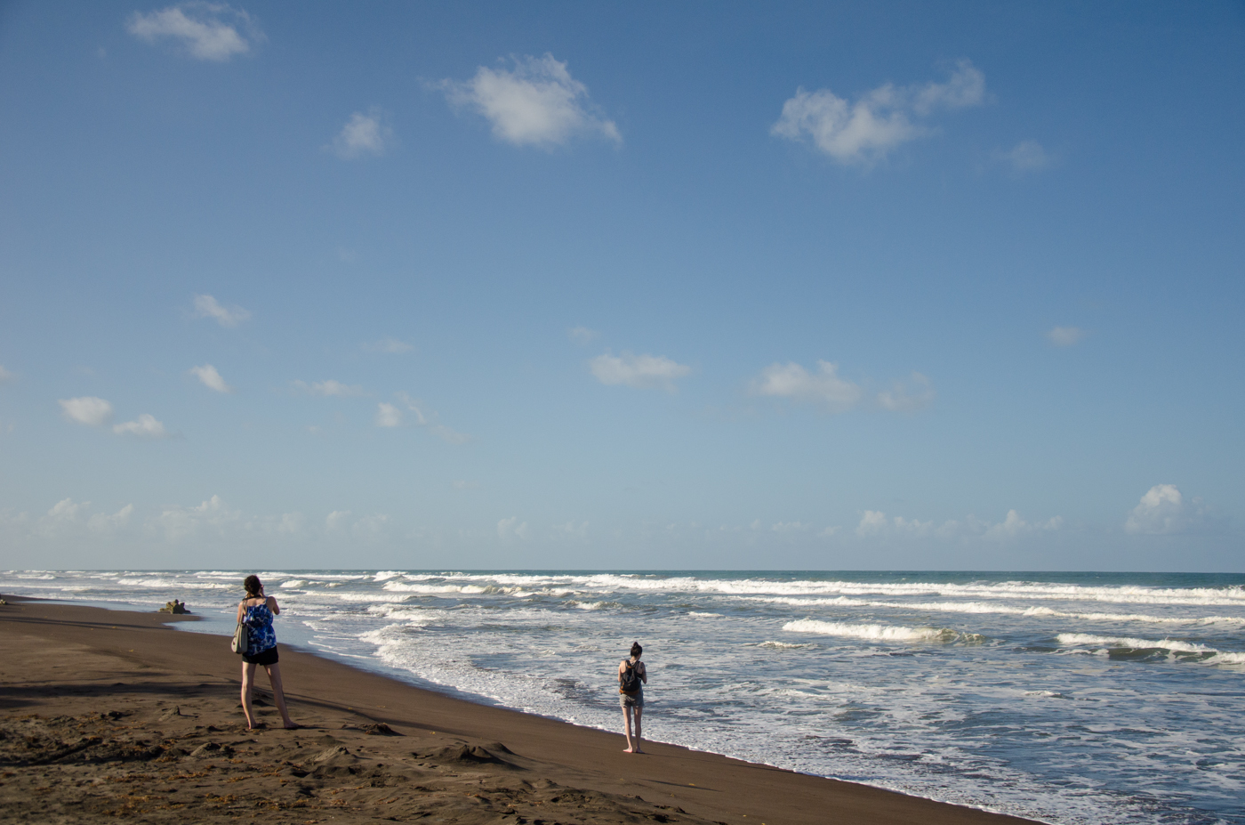 Saving Costa Rica’s sea turtles