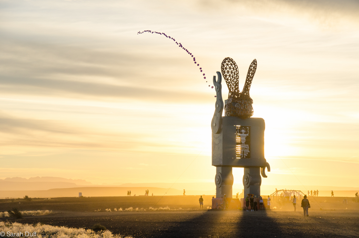 AfrikaBurn 2014: The Trickster