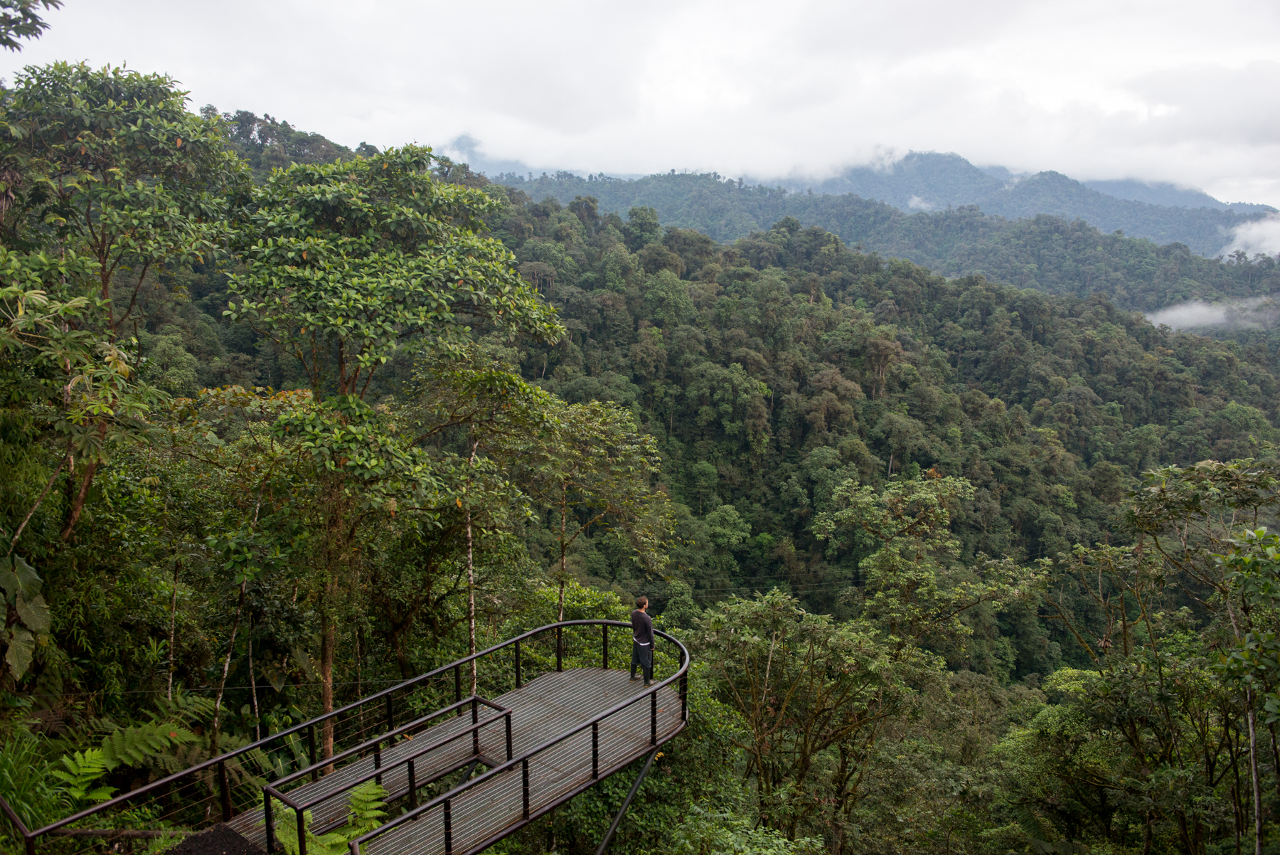 Mashpi Lodge, Ecuador