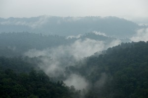 Mashpi: a cocoon in an Ecuadorian cloud forest - Duff's Suitcase