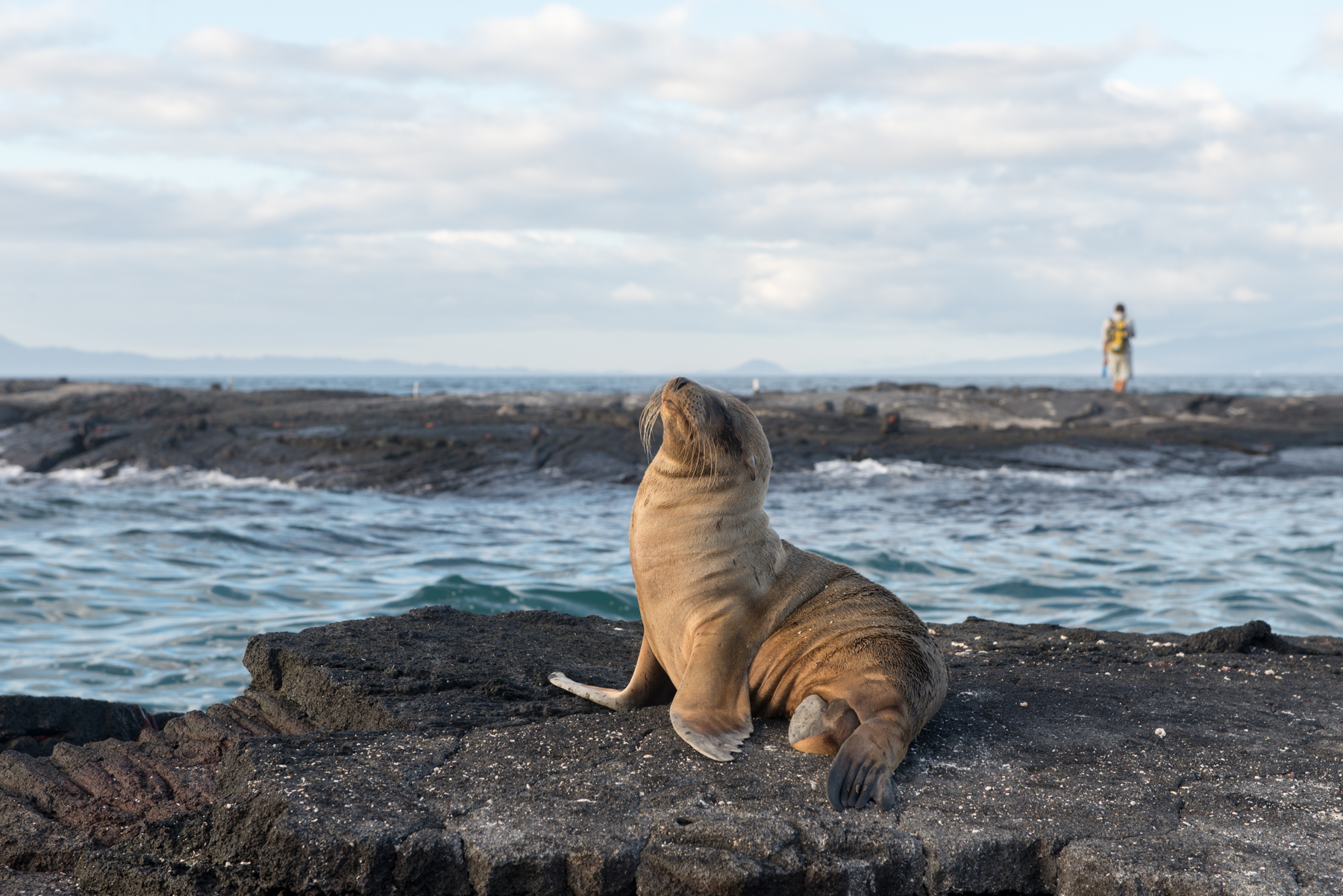An evolutionary Eden: the Galapagos Islands