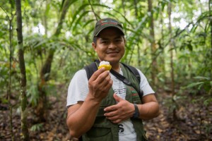 Our guide at Madidi Jungle Ecolodge, Orlando