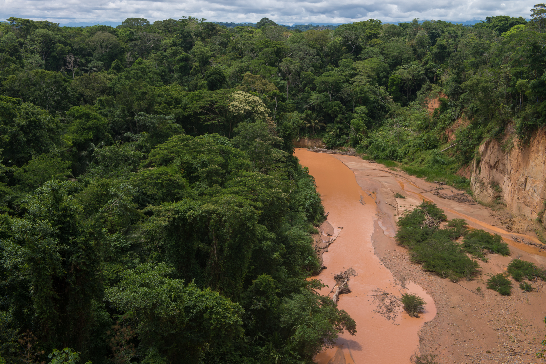 Madidi National Park