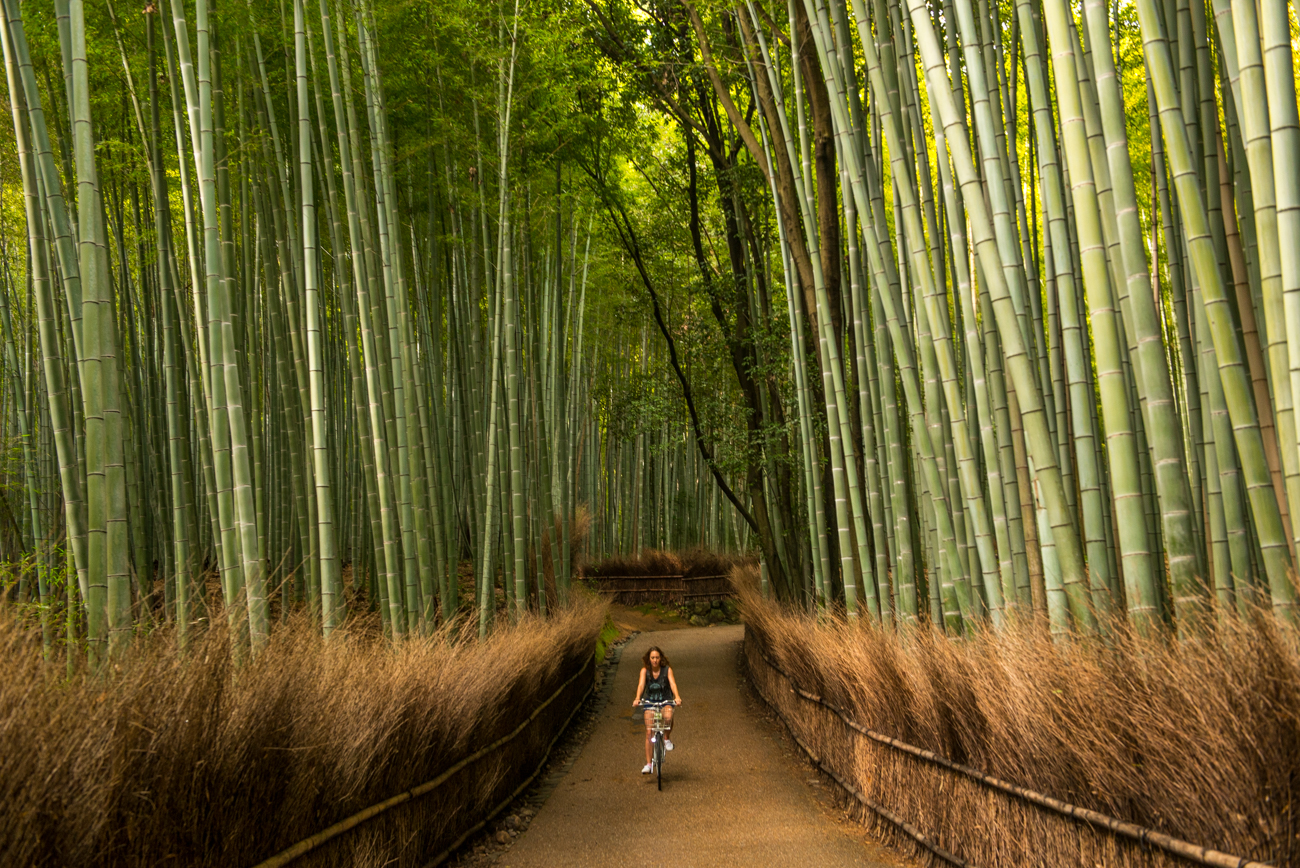 Arashiyama Bamboo Forest