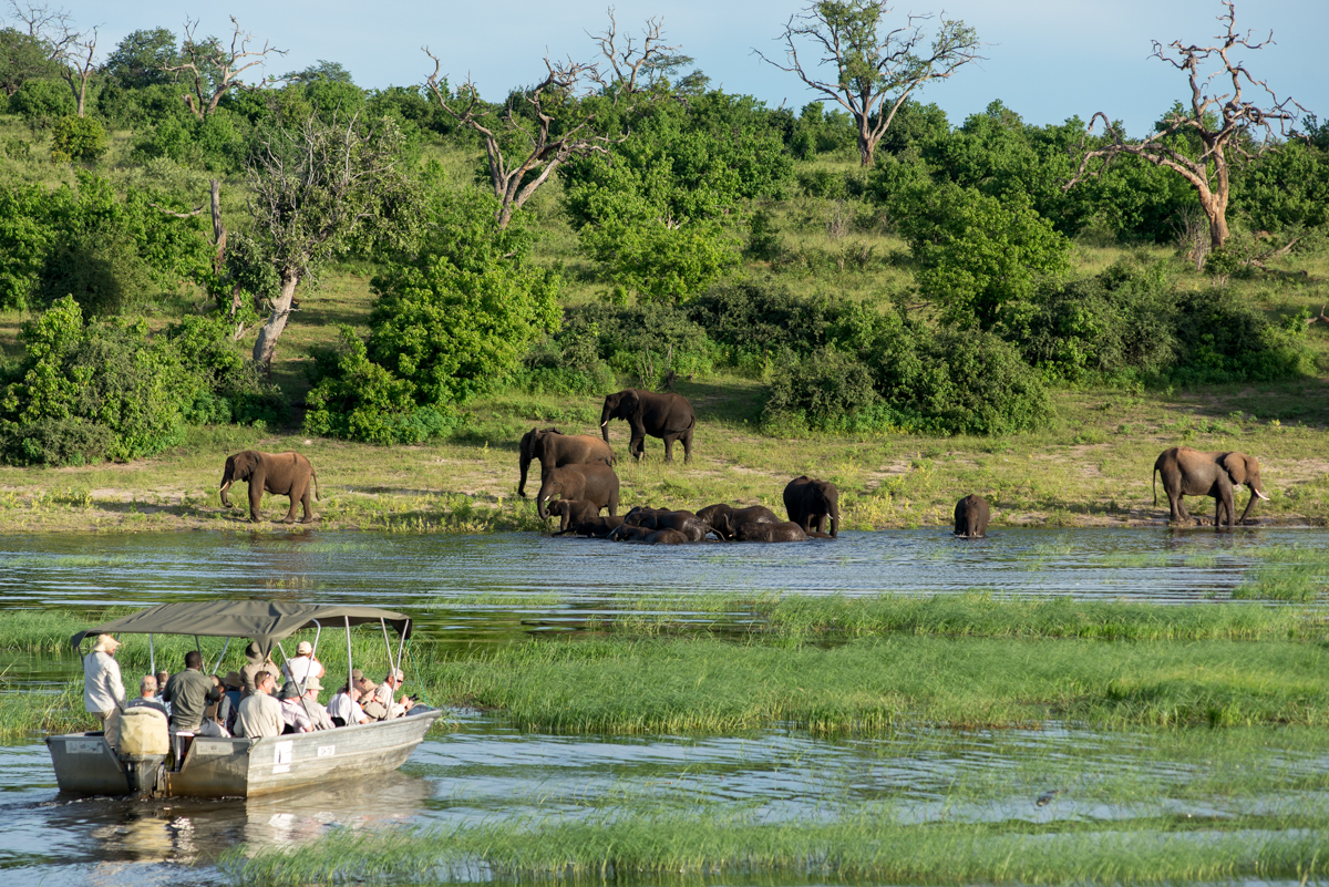 Chobe National Park