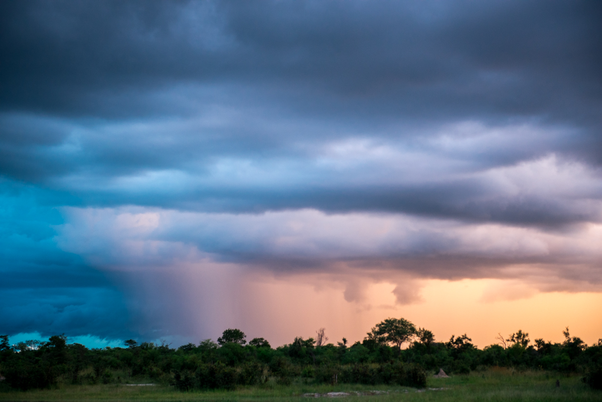 Elephants Eye Hwange Zimbabwe-10