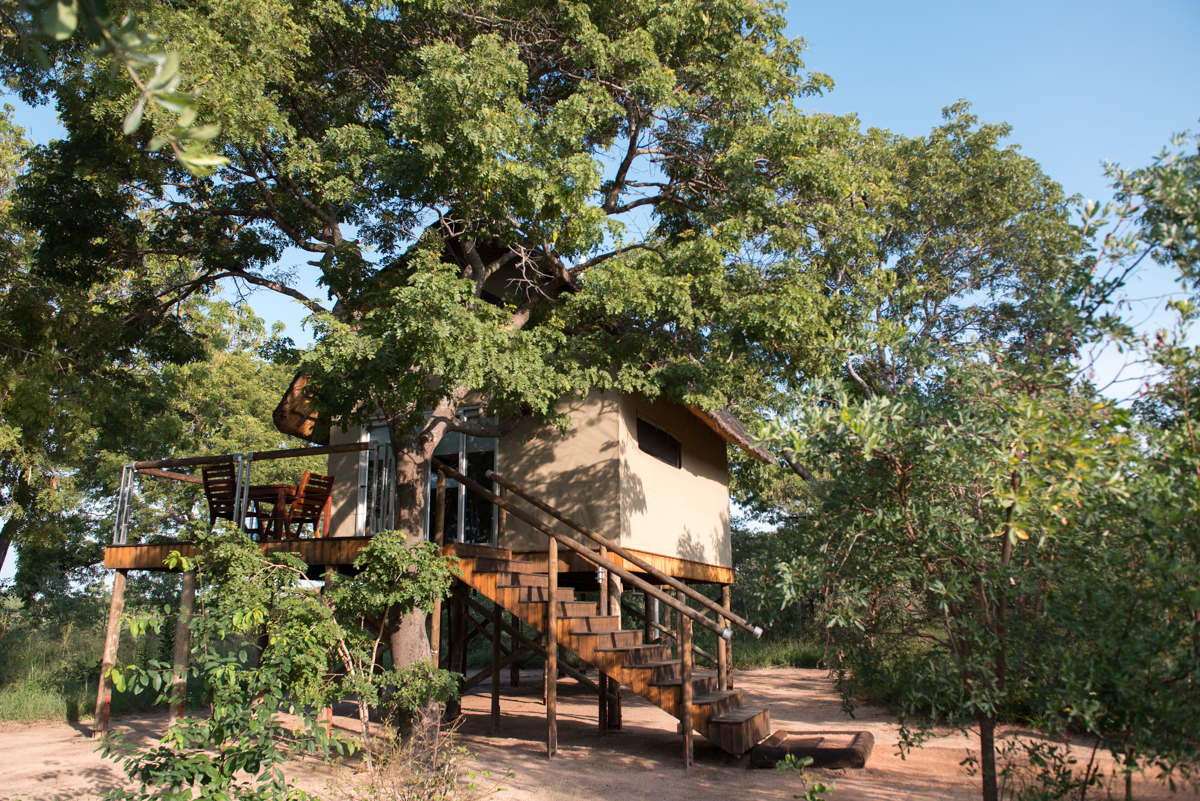 Elephants Eye Hwange Zimbabwe-11