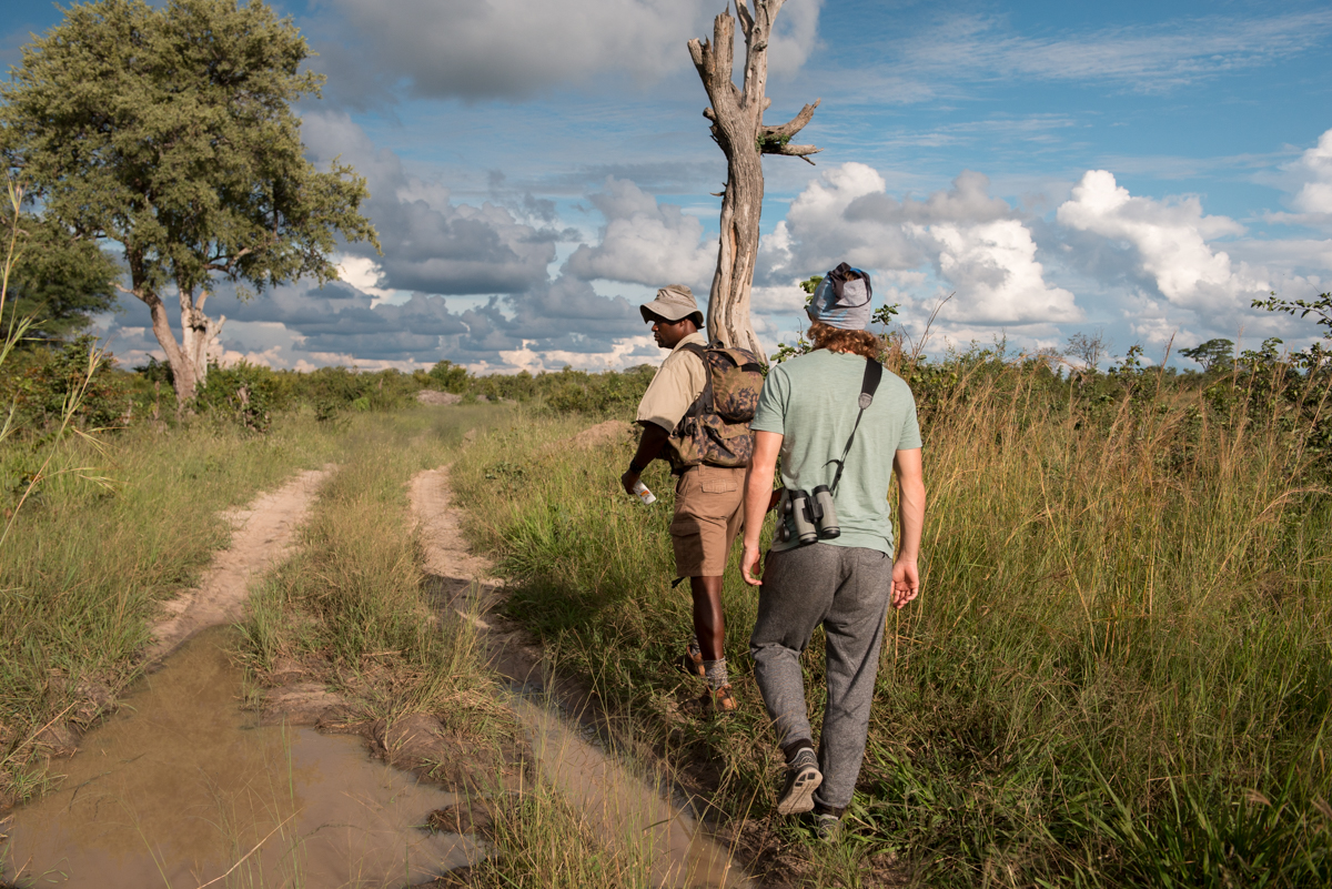 Elephants Eye Hwange Zimbabwe-7