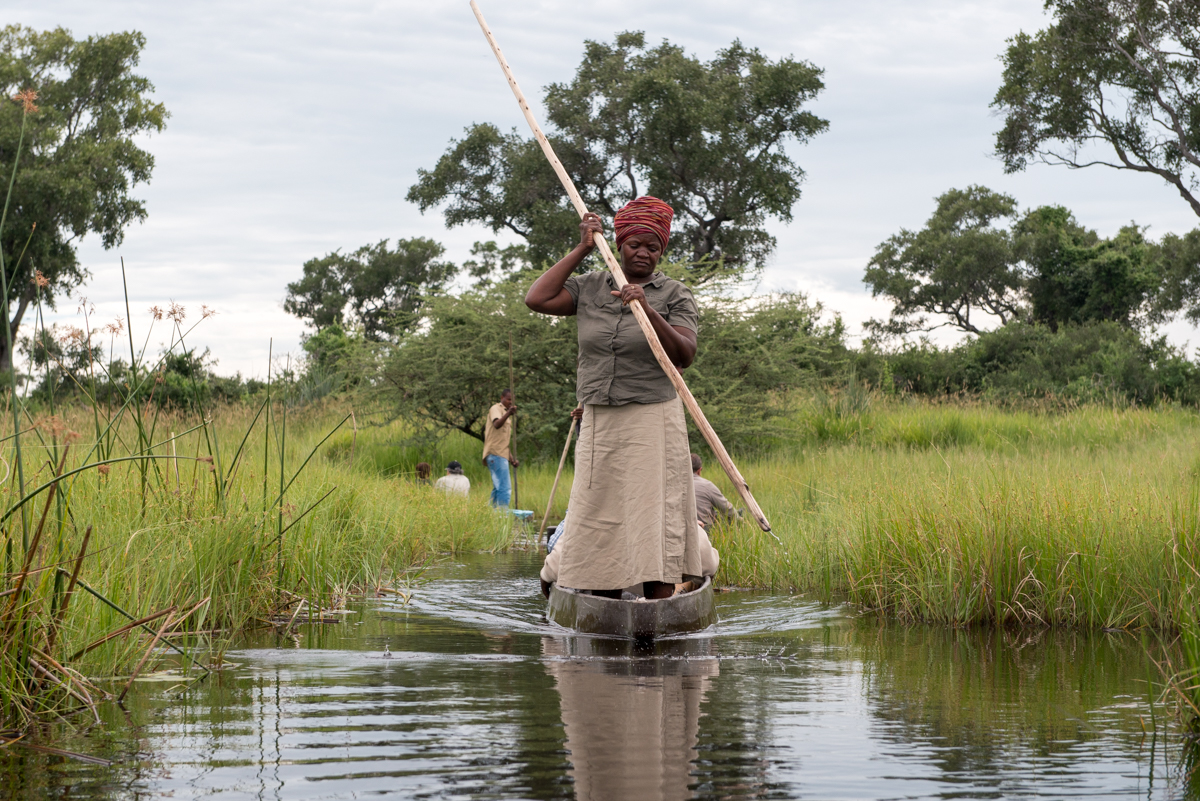 Okavango Delta mokoro