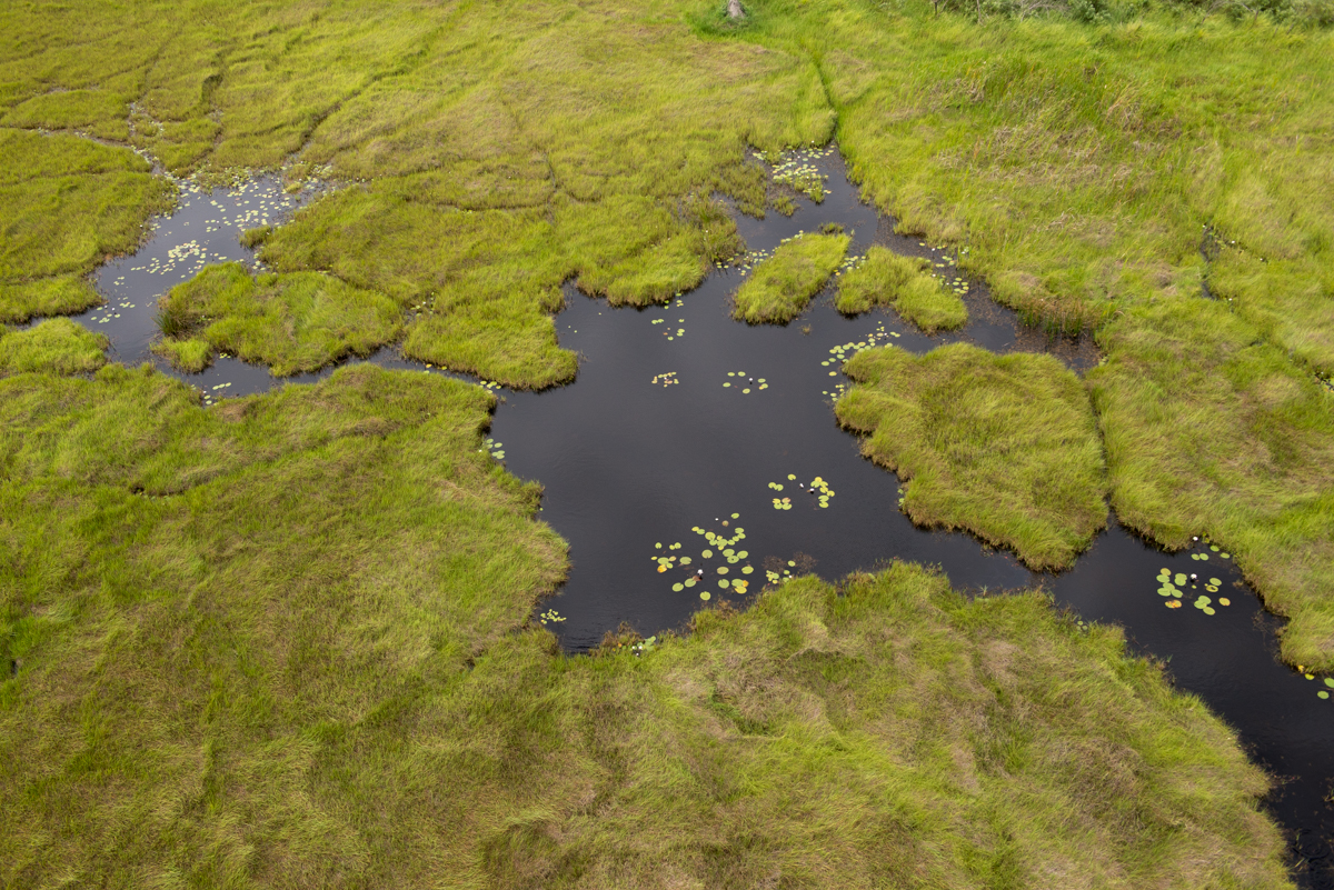 Okavango Delta from the air