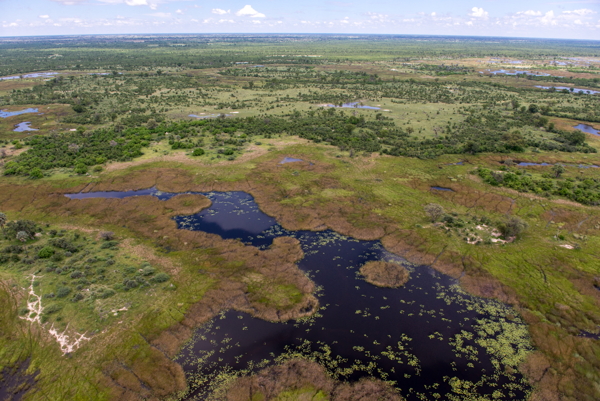 Okavango Delta from the air