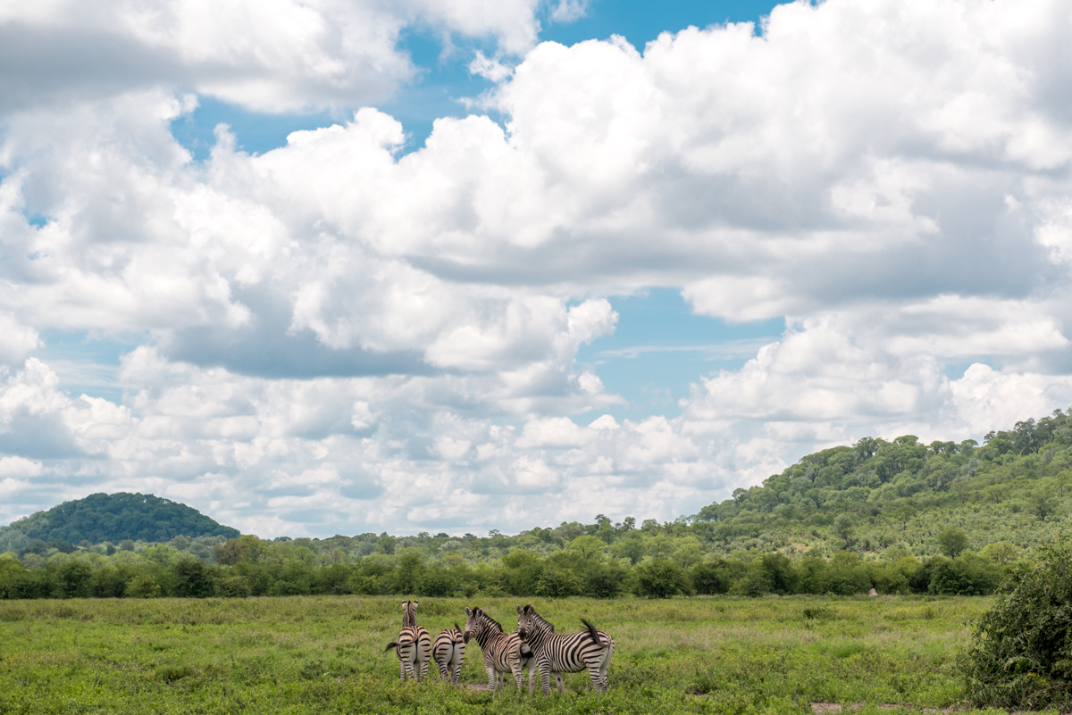 Chobe National Park