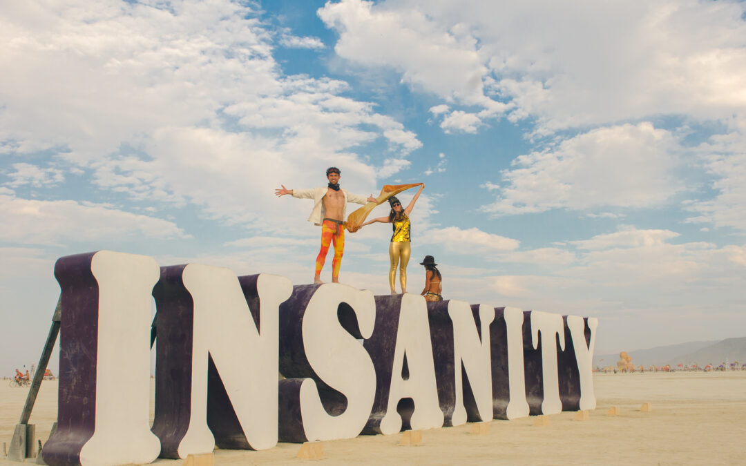 Insanity, Burning Man 2014