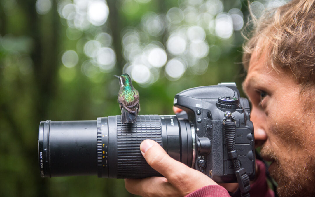 Shooting hummingbirds in Costa Rica