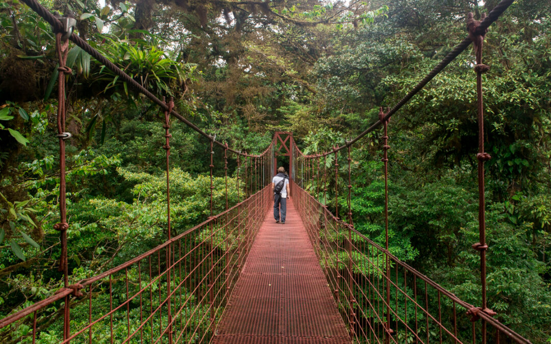 Monteverde Cloud Forest, Costa Rica - Duff's Suitcase