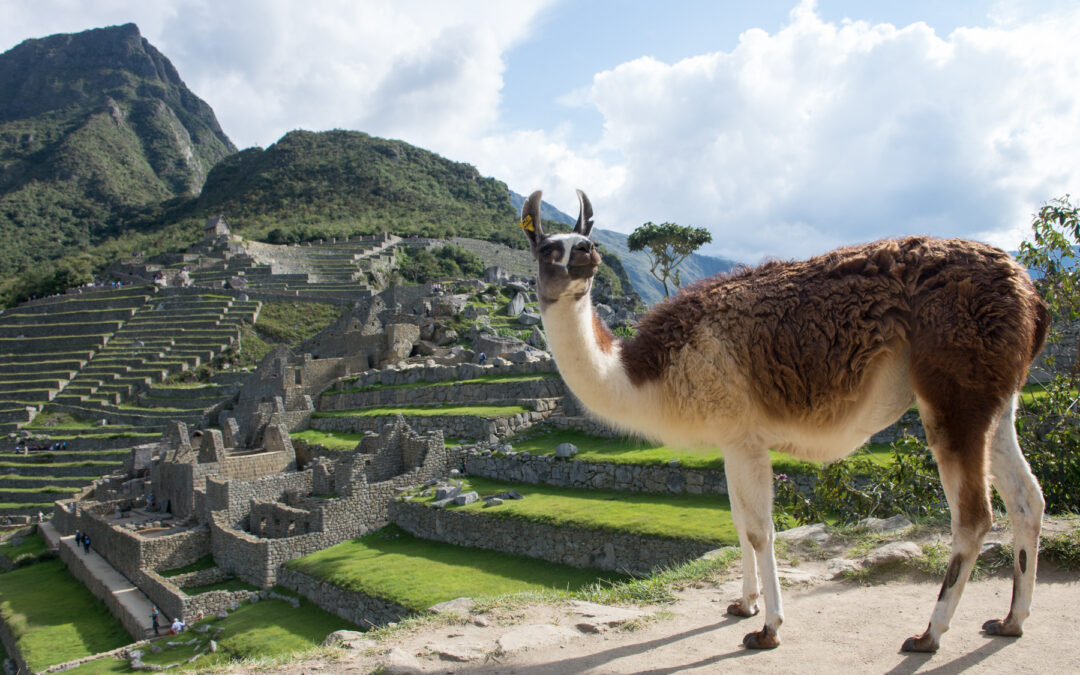 Sarah Duff Machu Picchu-10