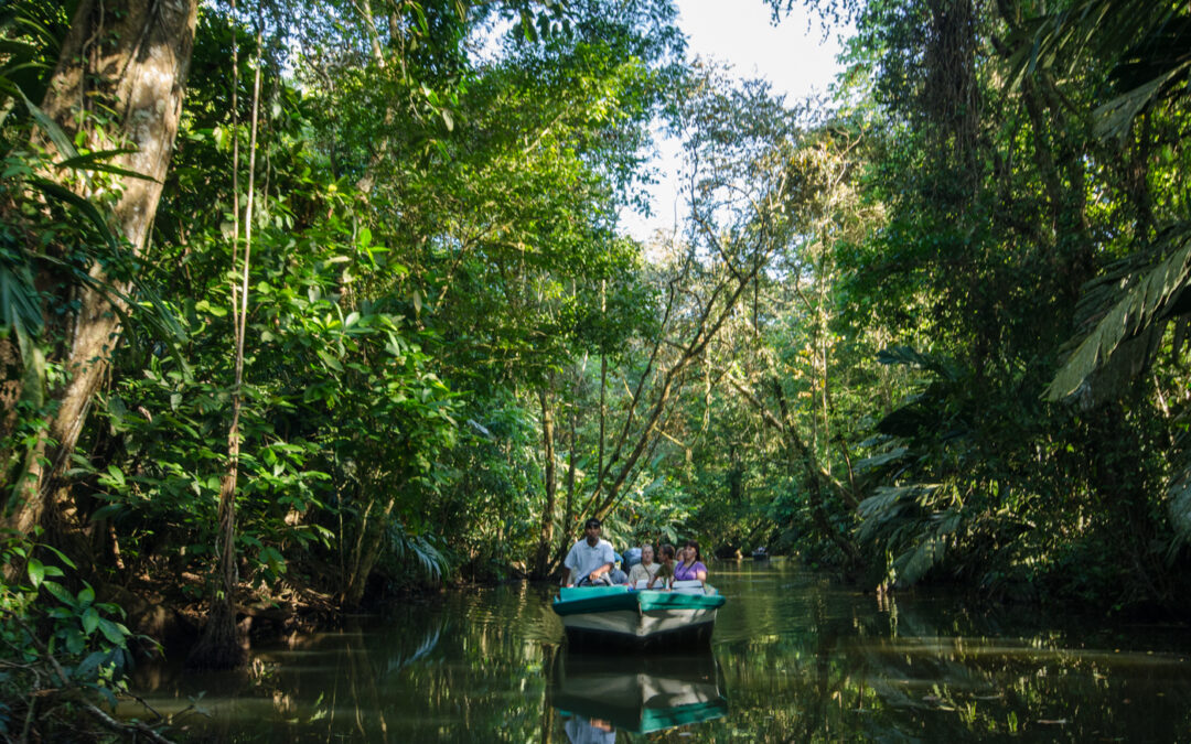 Cruising through the canals in Tortuguero National Park